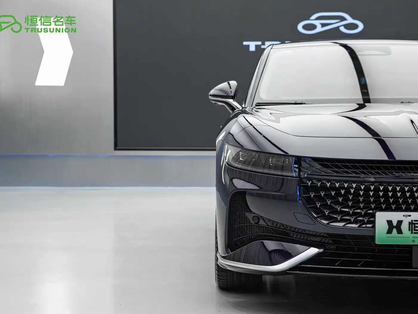 Voyah Auto VOYAH Zhuiguang 2024 PHEV AWD Ultra Long Range Flagship фото 8