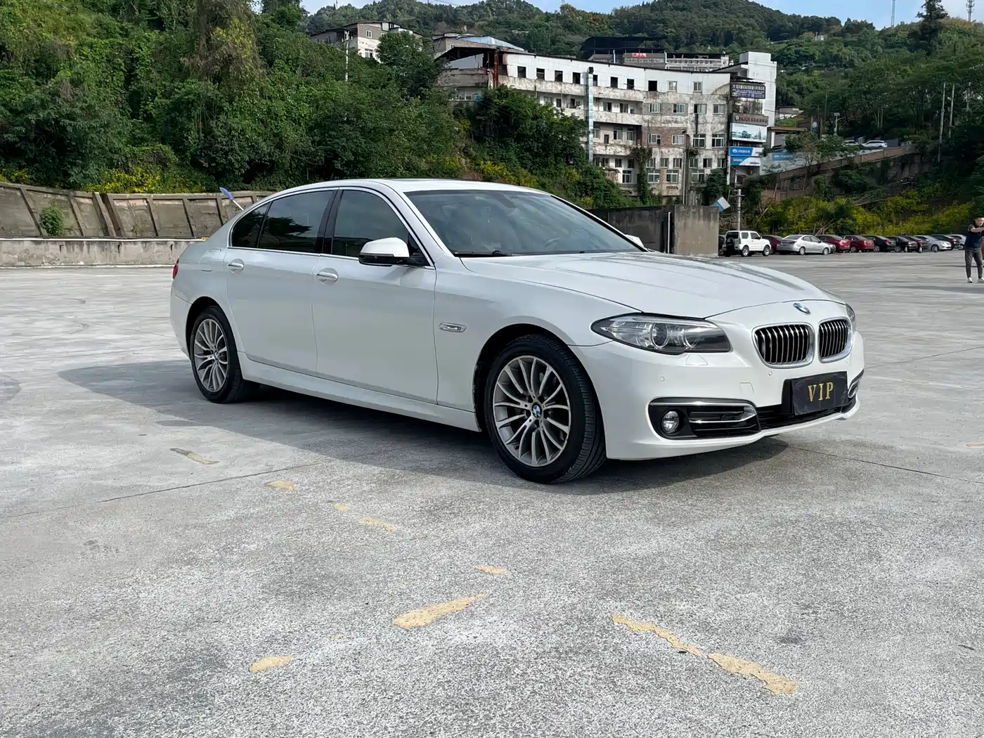BMW 5 Series 2013 525Li Luxury фото 3
