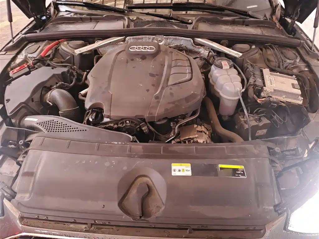 Audi A4L 2021 40 TFSI Premium Life Edition фото 17