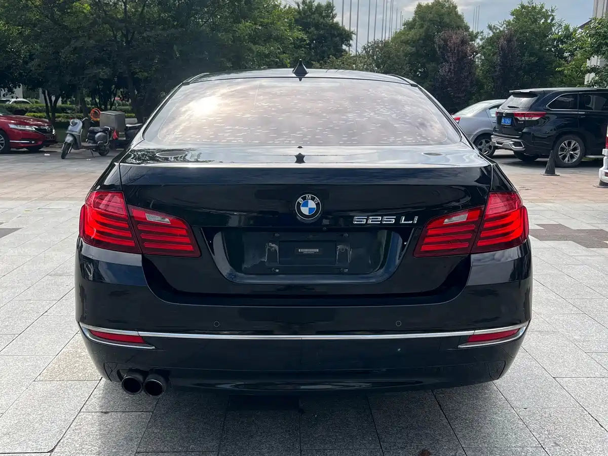 BMW 5 Series 2014 525Li Luxury Design Package фото 15