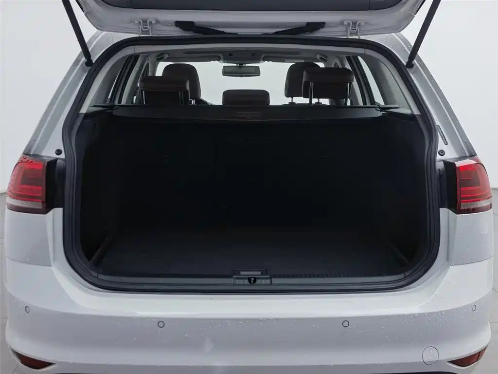 Volkswagen Golf (Import) 2014 1.4TSI Luxury Wagon фото 16