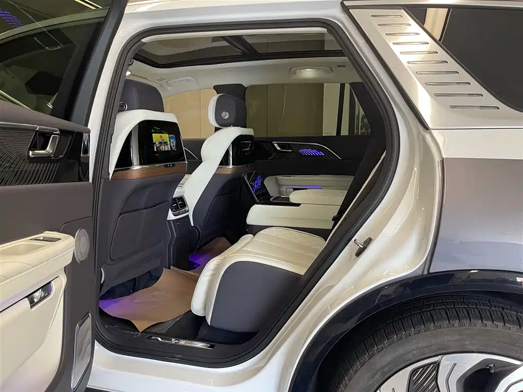 Hongqi E-HS9 2022 660km Qi Ling Edition (4-seater) фото 18