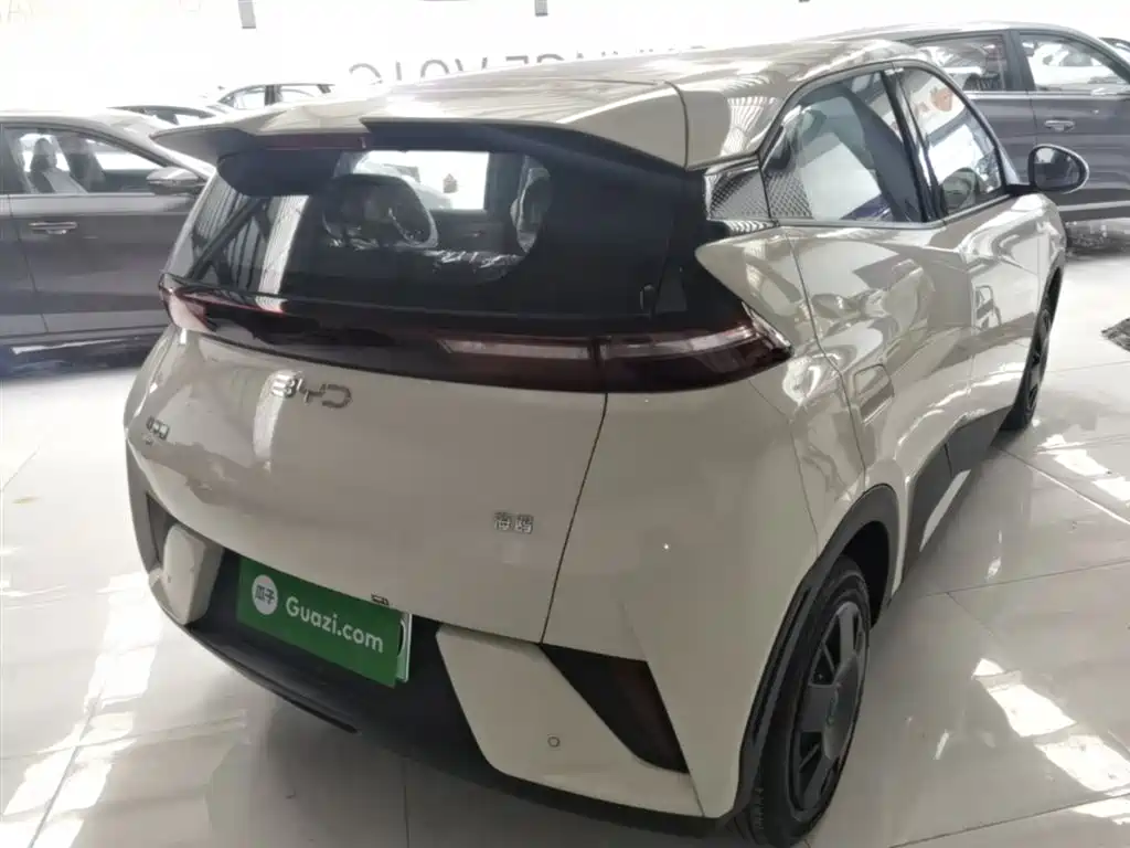 BYD Seagull 2025 Smart Drive Edition 305km Vitality Version фото 7