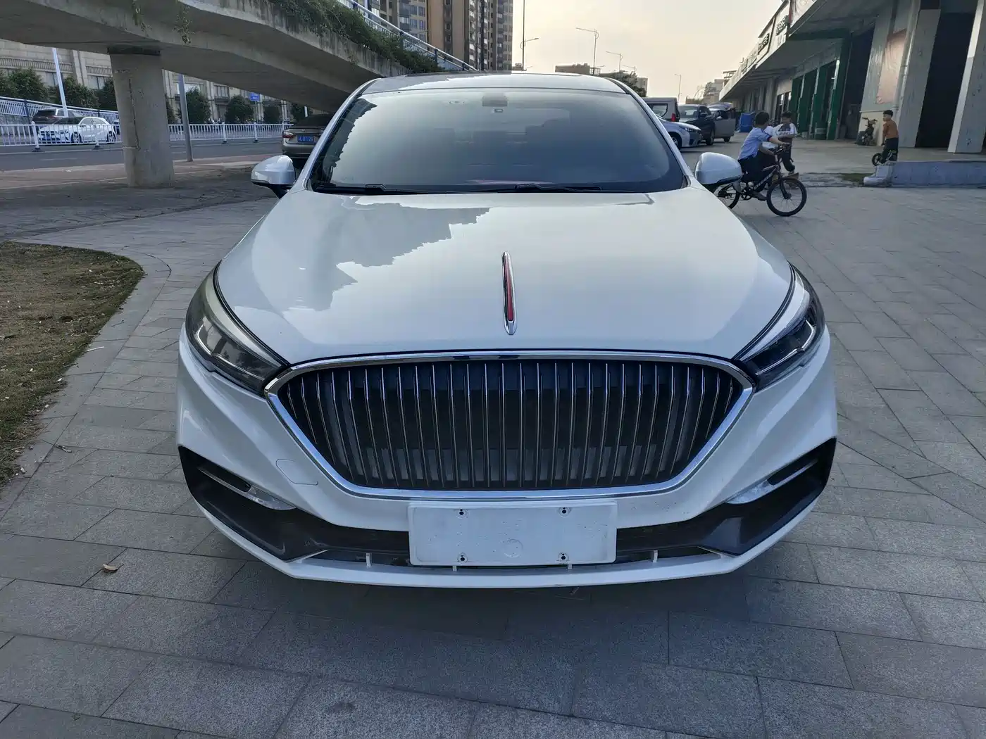 Hongqi H5 2019 30TD Style Edition