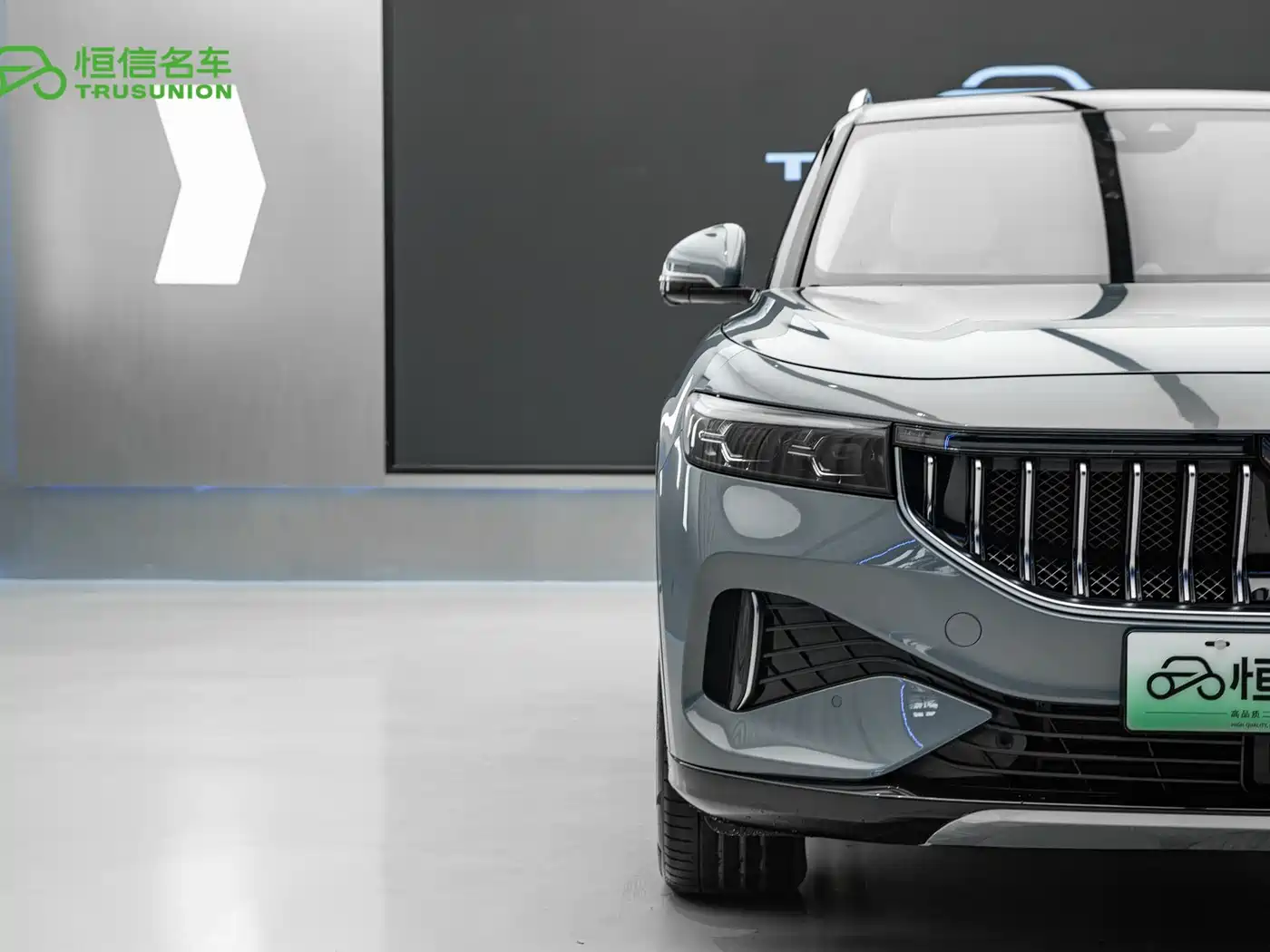 Voyah Auto VOYAH FREE 2021 4WD Extended Range Launch Edition Exclusive Luxury Package фото 8