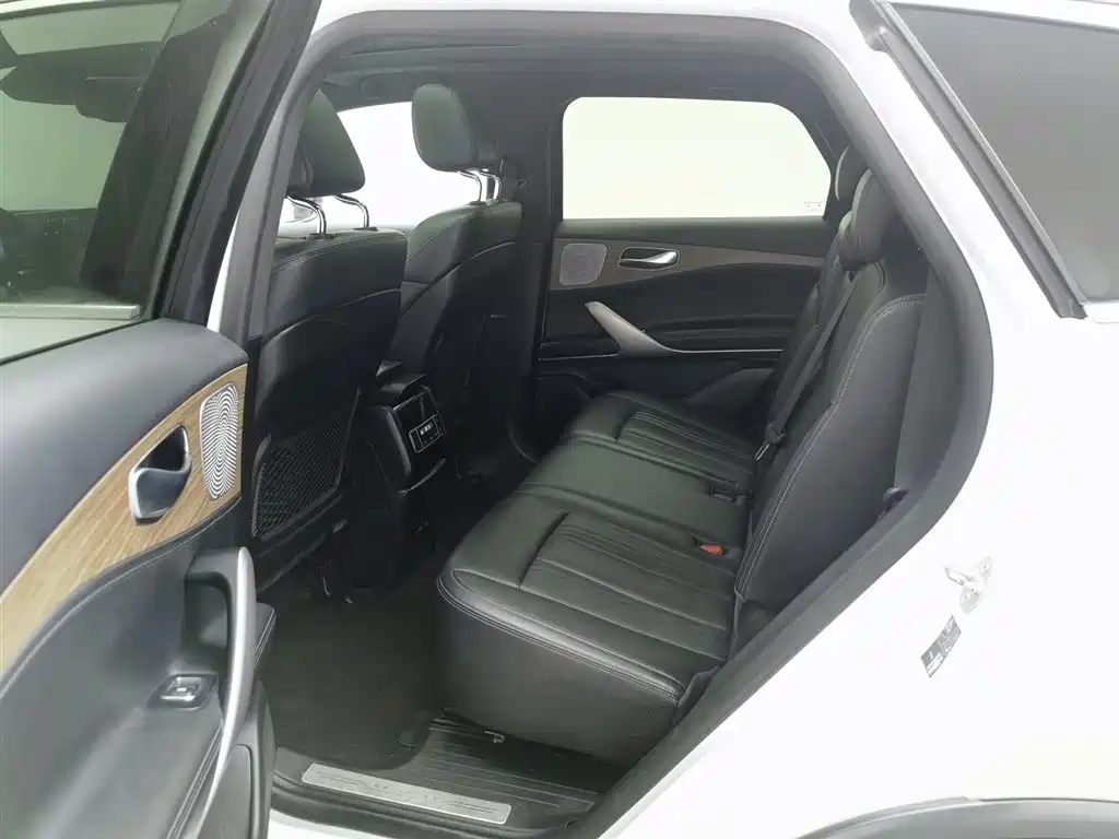 Denza X 2020 PHEV Classic Edition фото 15