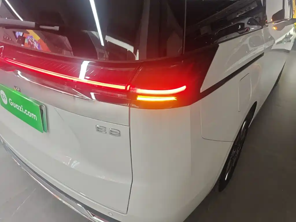 صورة 8 - GAC Trumpchi Trumpchi E8 NEV