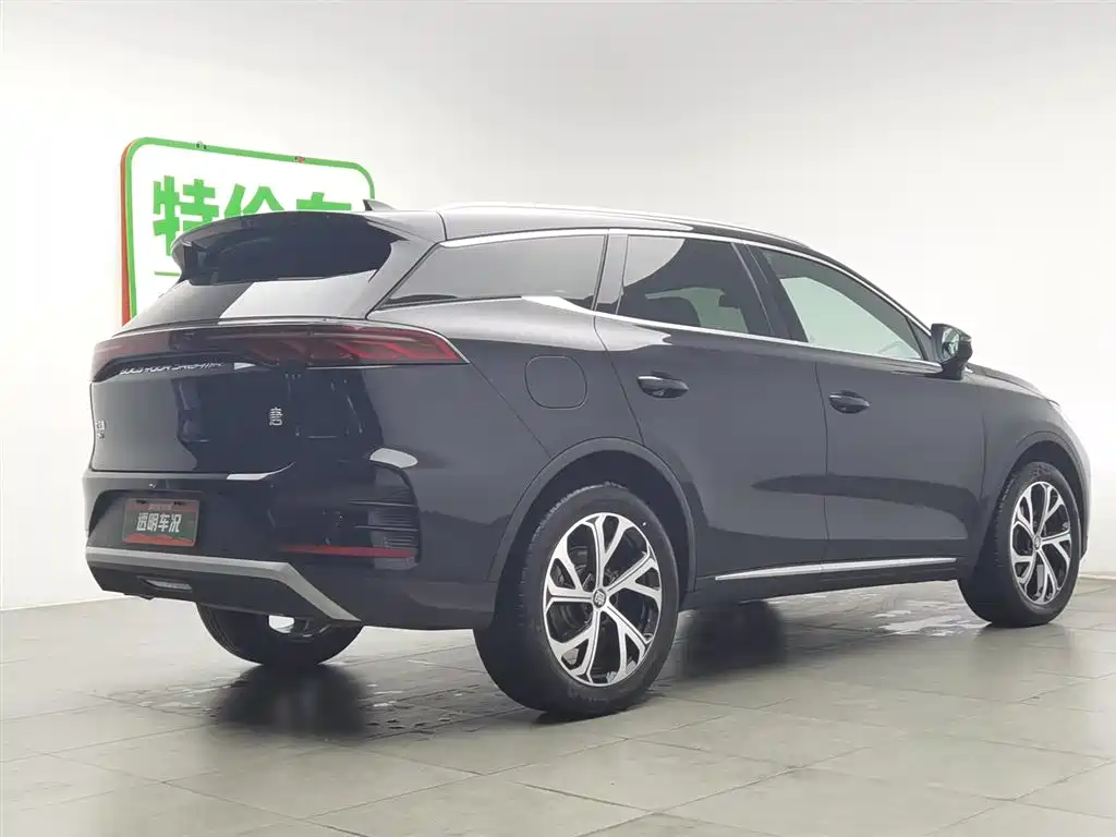 BYD Tang New Energy 2025 DM-i 115KM Prestige Type фото 2