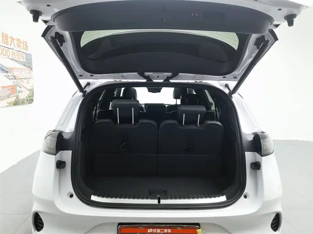 Denza X 2020 PHEV Classic Edition фото 16