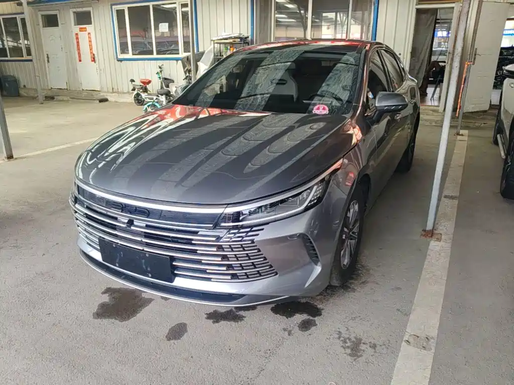 BYD Destroyer 05 2025 2024 Glory Edition DM-i 55KM Luxury