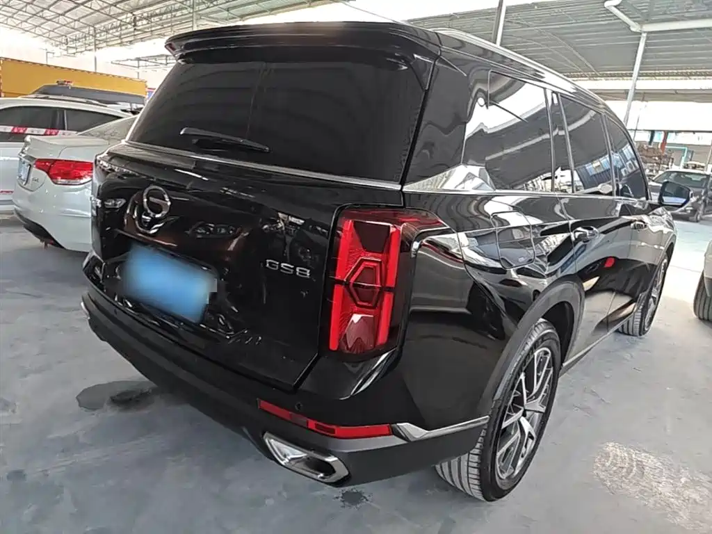 GAC Trumpchi Trumpchi GS8 2024 Navigator Series 2.0TGDI 2WD Luxury Smart Connect Edition фото 7