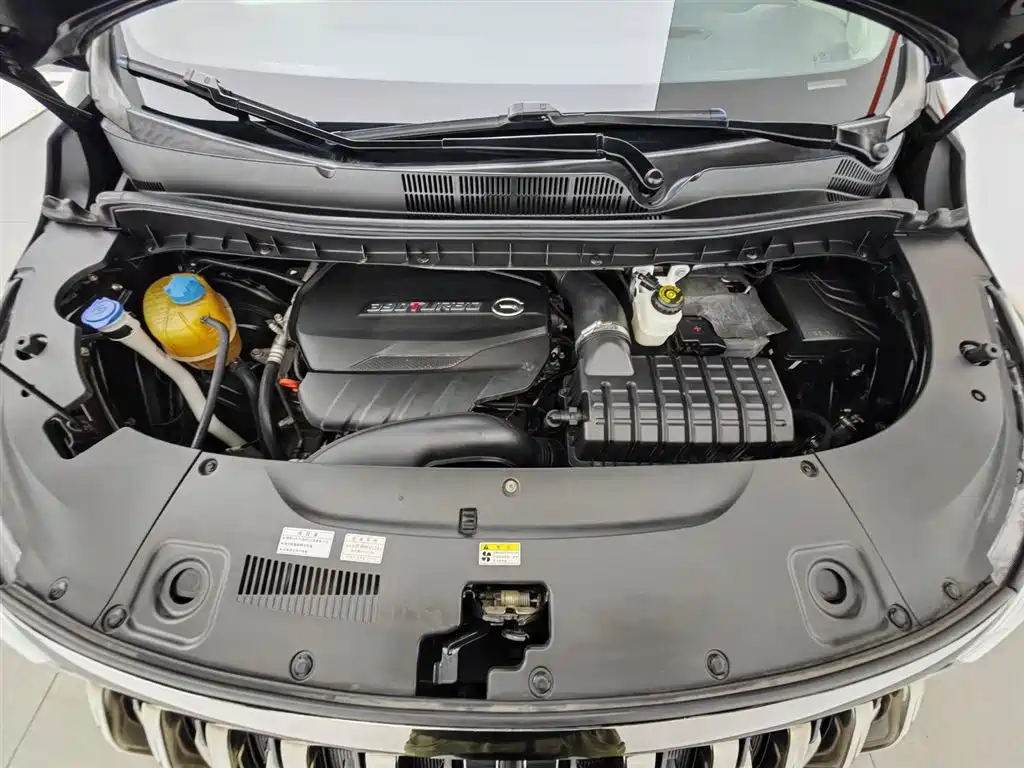 GAC Trumpchi Trumpchi M8 2021 Master Series 390T Prestige Edition фото 6