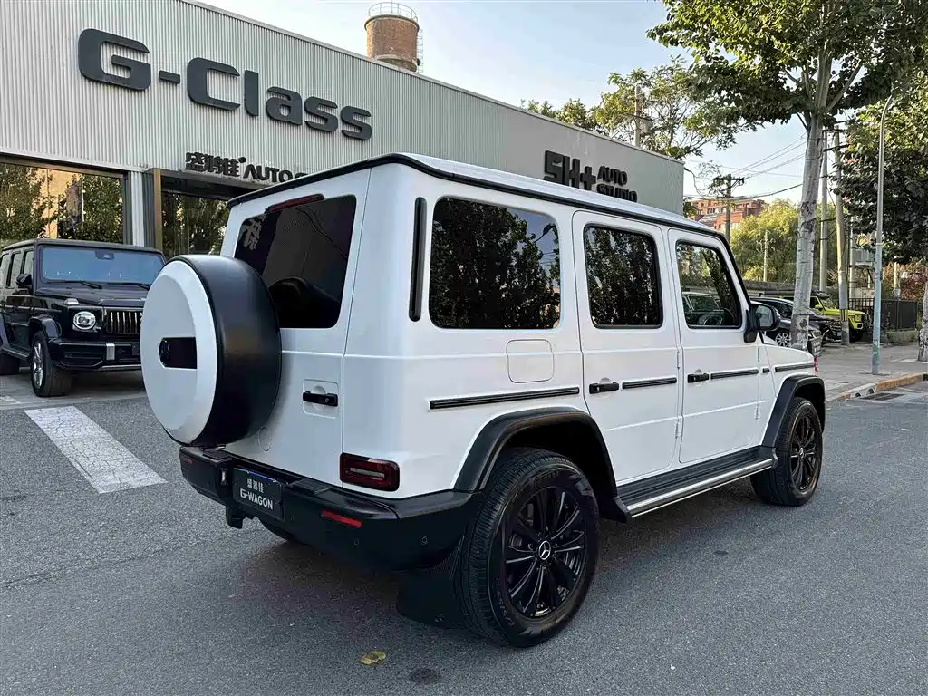 Mercedes-Benz G-Class 2024 G 350 фото 3