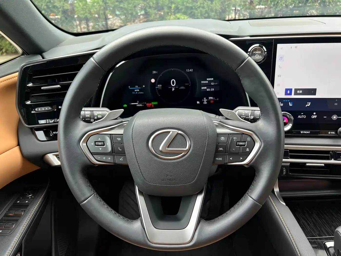 Lexus RX 2025 2025 350h 4WD Premium Edition