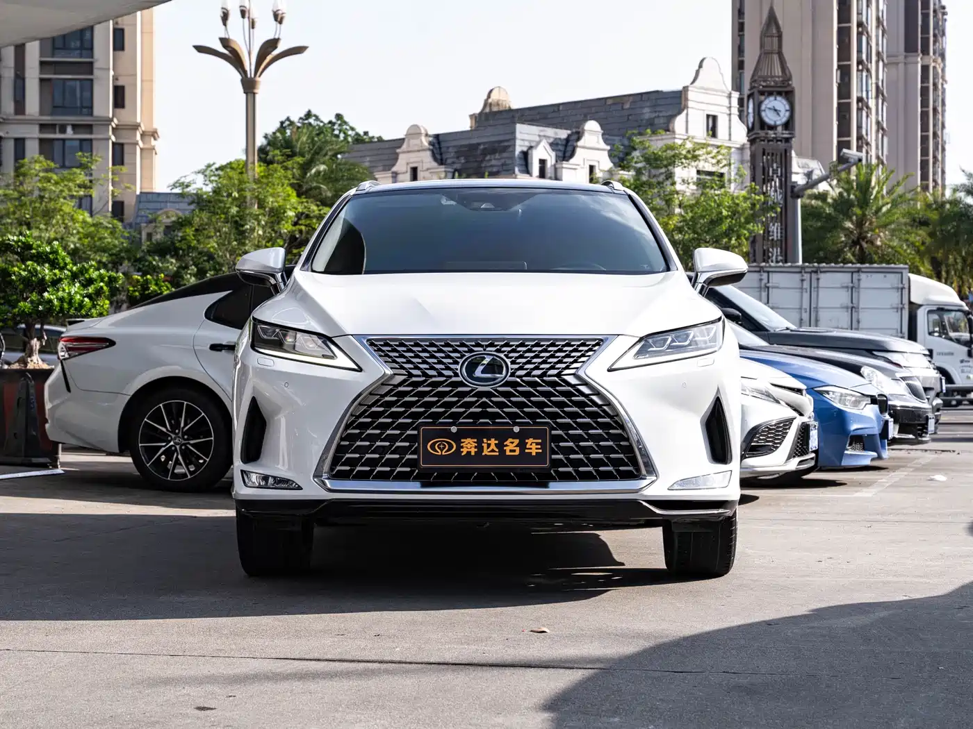 Lexus RX 2021 300 AWD Special Edition фото 2