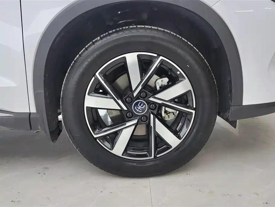 BYD Song Pro New Energy 2024 Glory Edition DM-i 71KM Pilot фото 6