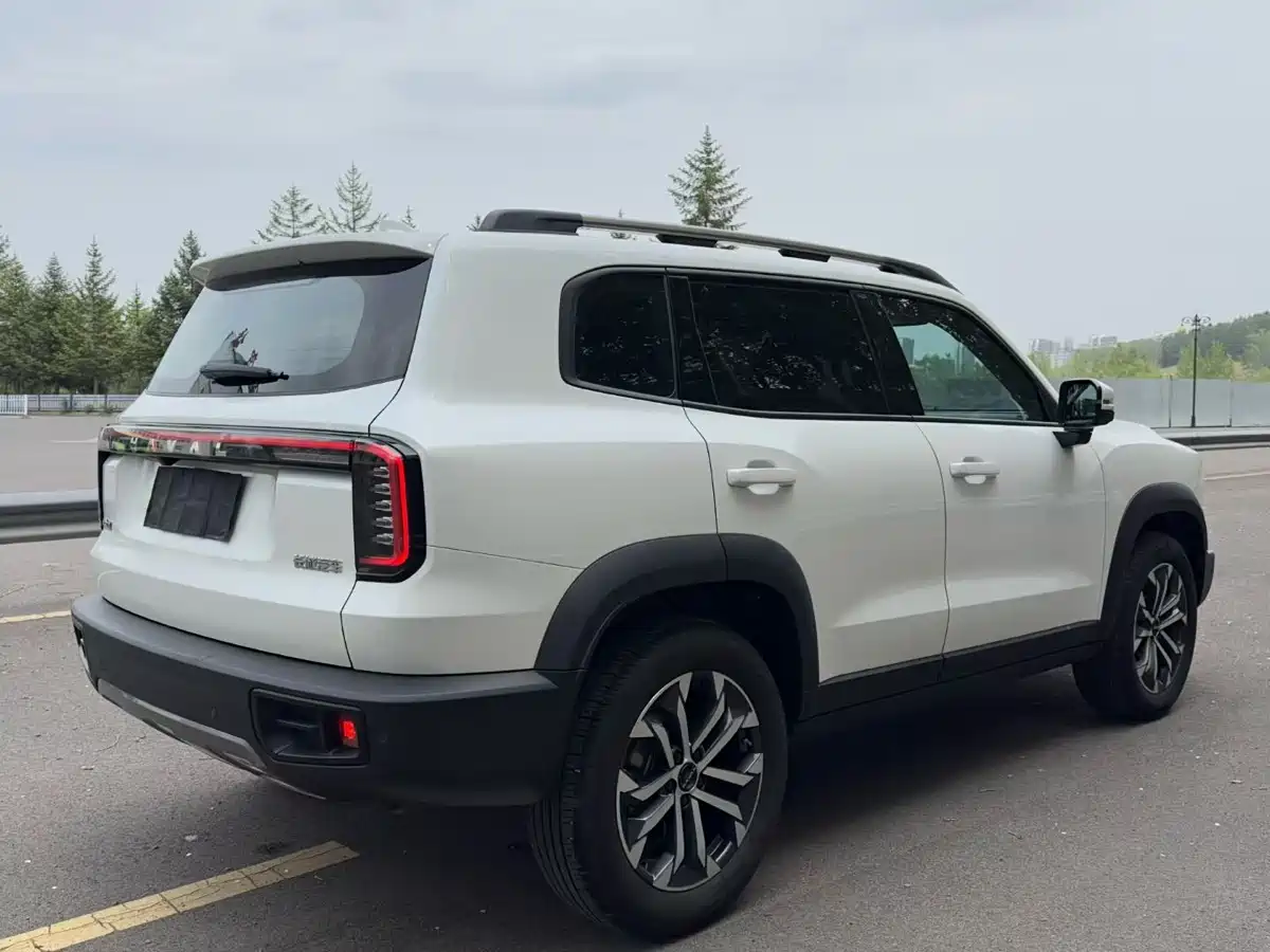 Haval Big Dog 2024 Model 1.5T DCT Labrador Edition фото 9