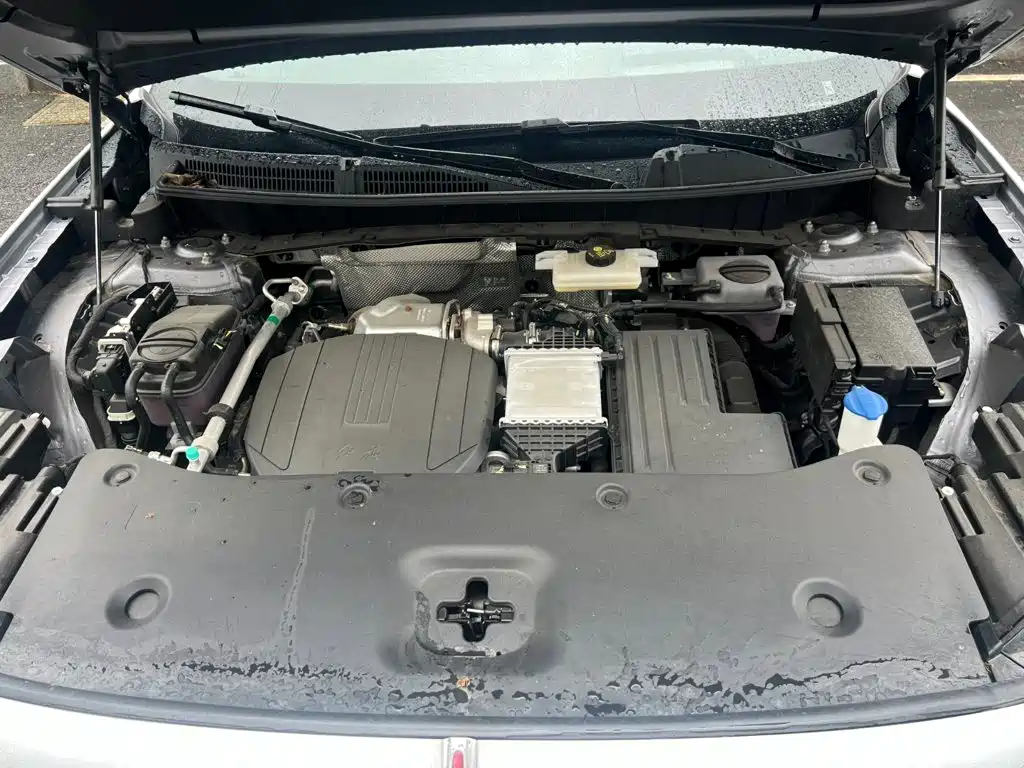 Hongqi HS6 PHEV 2025 2025 High-end Model