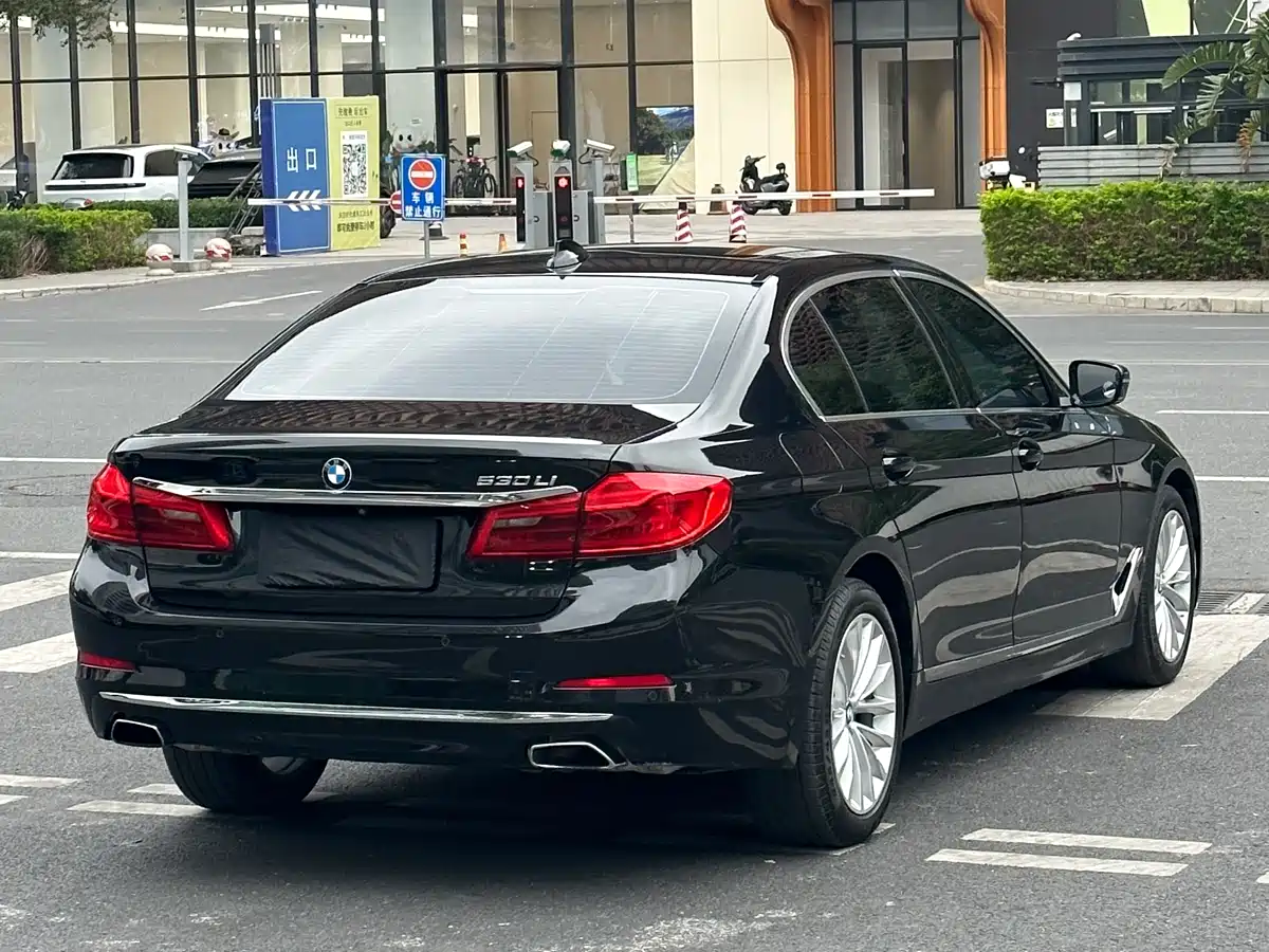BMW 5 Series 2020 530Li Leading Luxury Package фото 22