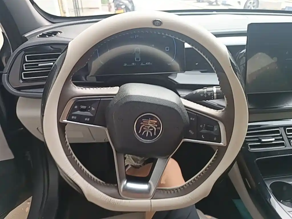 BYD Qin PLUS 2023 Champion Edition DM-i 55KM Leading фото 11
