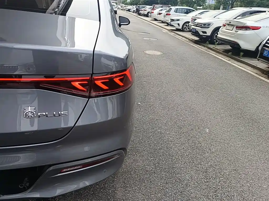 BYD Qin PLUS 2023 Champion Edition DM-i 55KM Leading фото 8