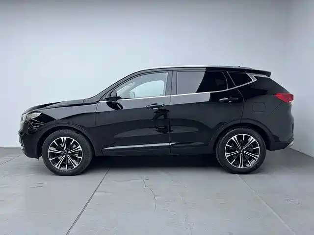 WEI PAI WEI BRAND VV6