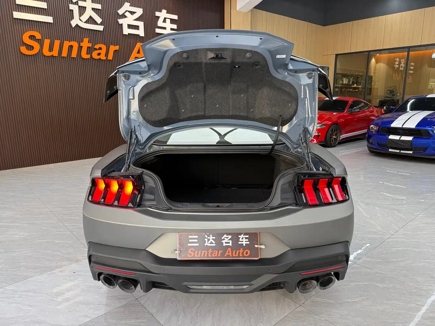 Ford Mustang 2024 5.0L V8 Dark Horse фото 25