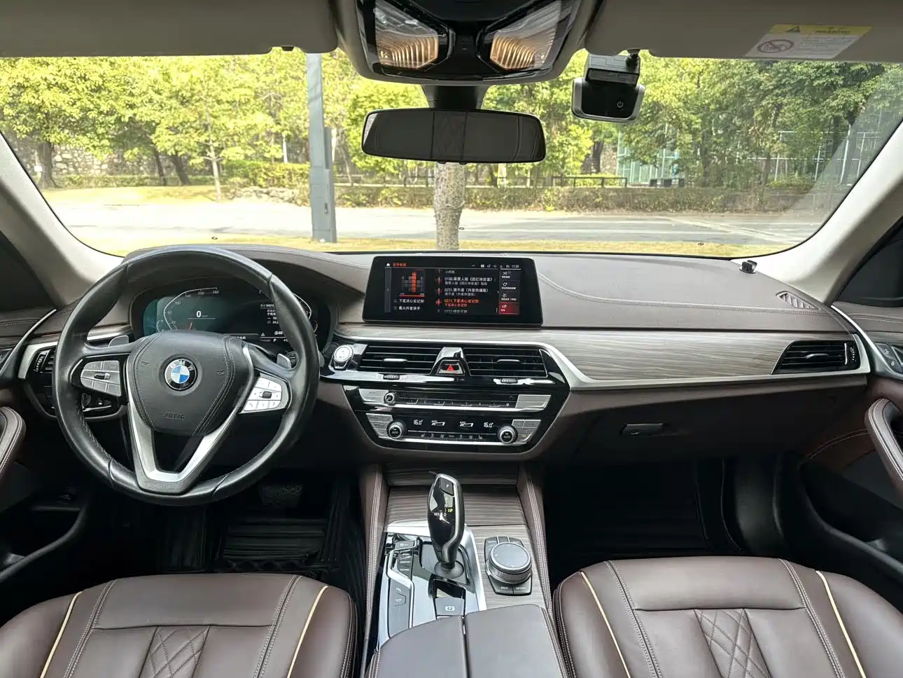 BMW 5 Series 2020 530Li Leading Luxury Package фото 5