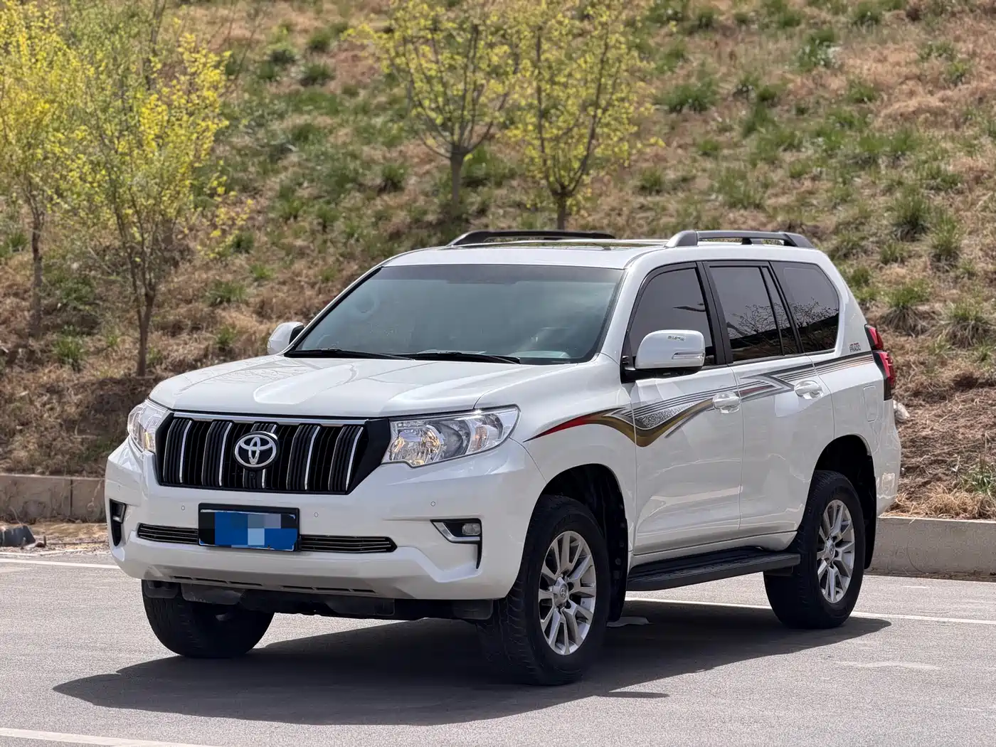 TOYOTA PRADO