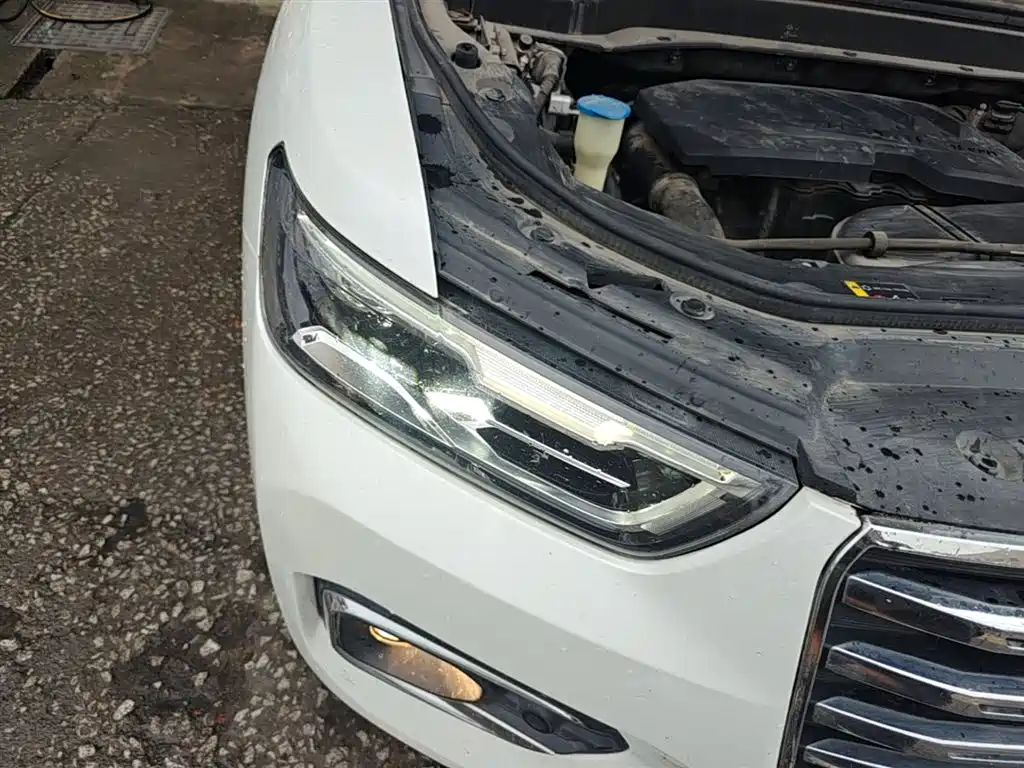 Haval H6 2018 Red Label 1.5T Automatic Luxury фото 13