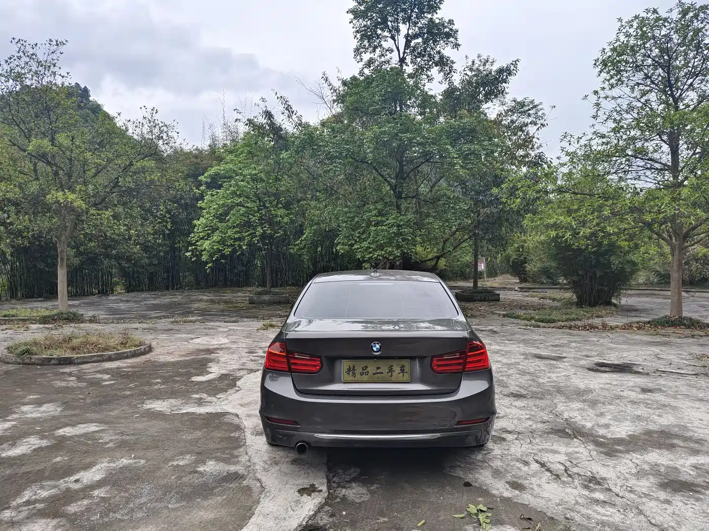 BMW 3 Series 2013 316i Progressive фото 8