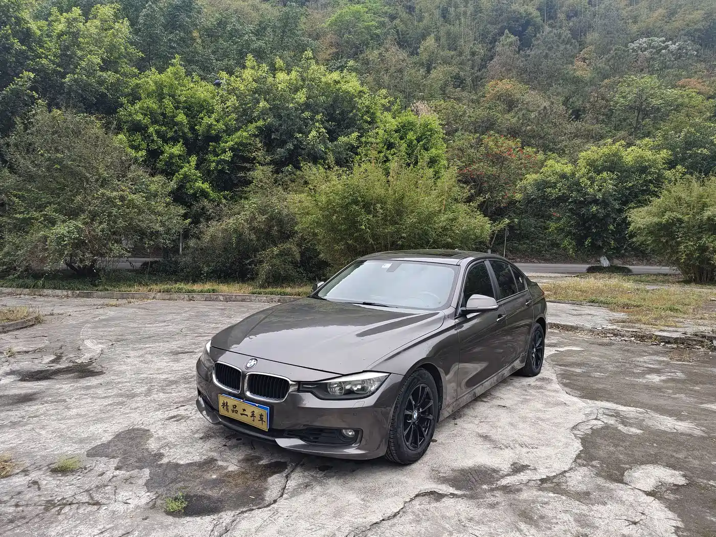 BMW 3 Series 2013 316i Progressive фото 2