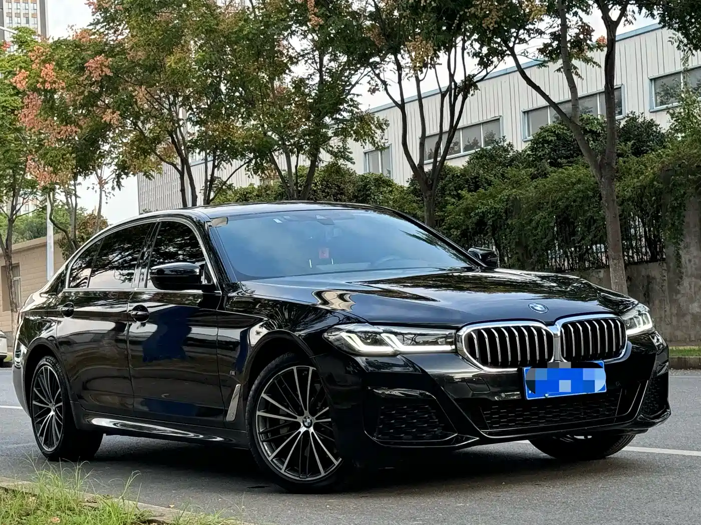 BMW 5 SERIES
