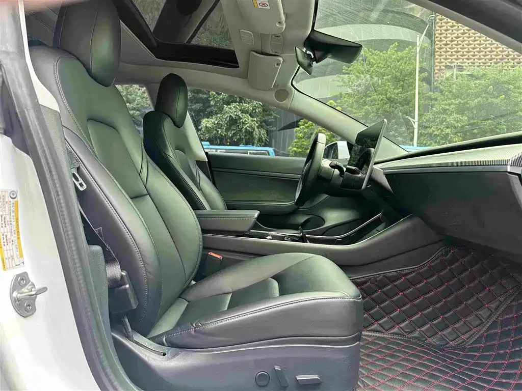 Tesla Model 3 2020 2019 Standard Range Rear-Wheel Drive Upgrade