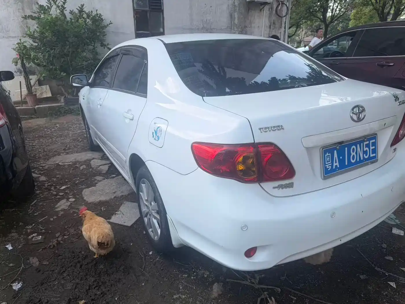 Toyota Corolla 2008 Sport Edition 1.8L Automatic GLX-S фото 5