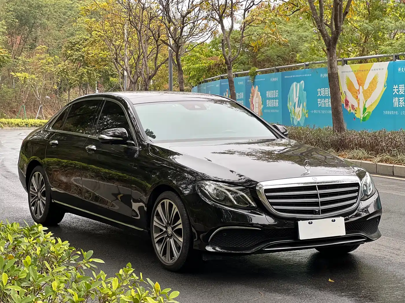 Mercedes-Benz E-Class 2016 E 300 L Fashion Type фото 3