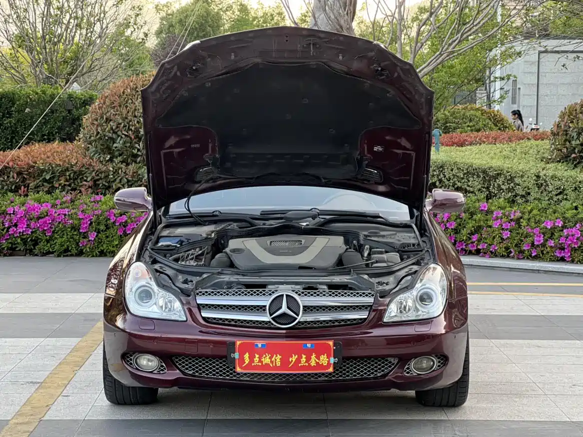 Mercedes-Benz CLS 2009 CLS 300 фото 20