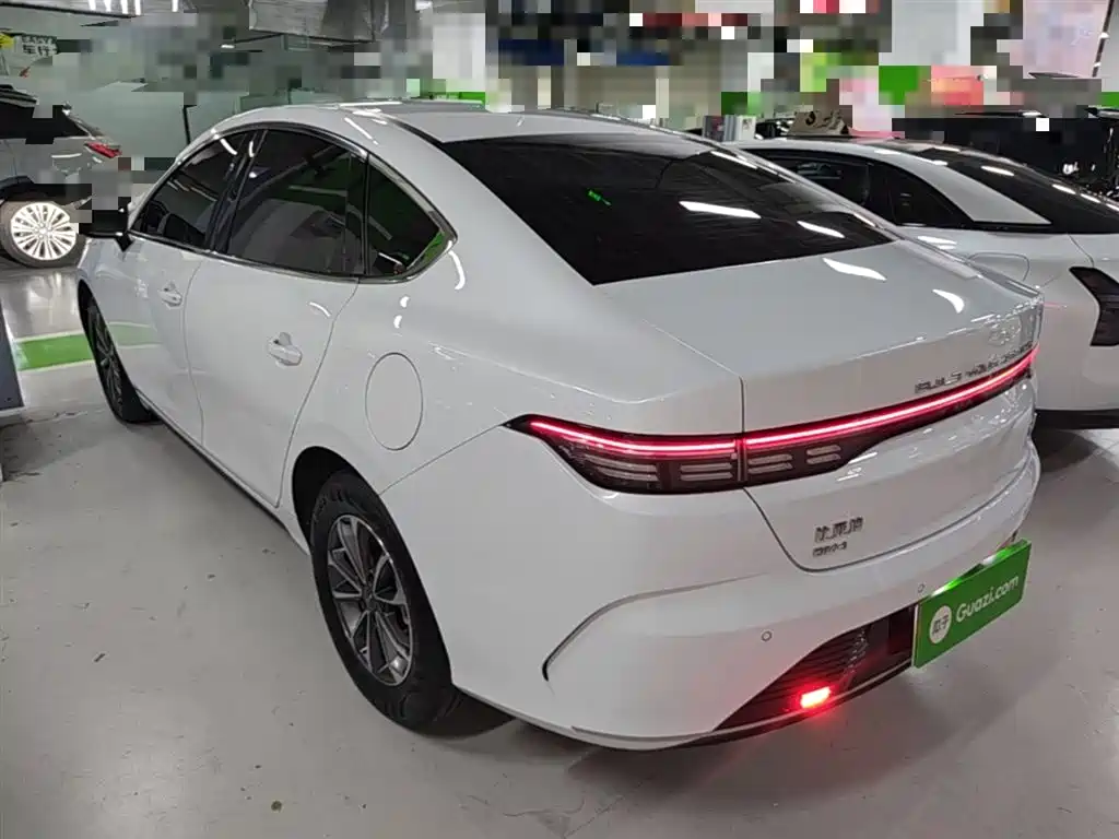 BYD Destroyer 05 2024 Glory Edition DM-i 55KM Luxury фото 5