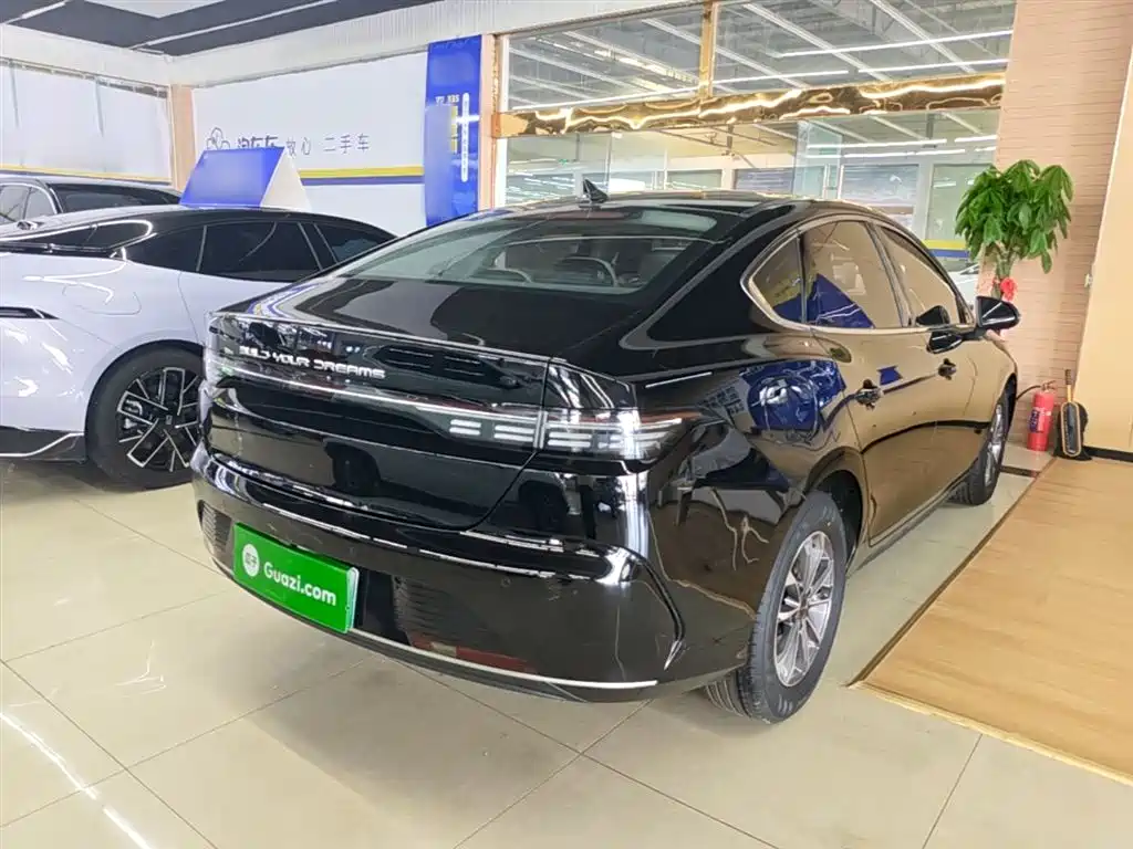 BYD Destroyer 05 2024 Glory Edition DM-i 55KM Luxury фото 7