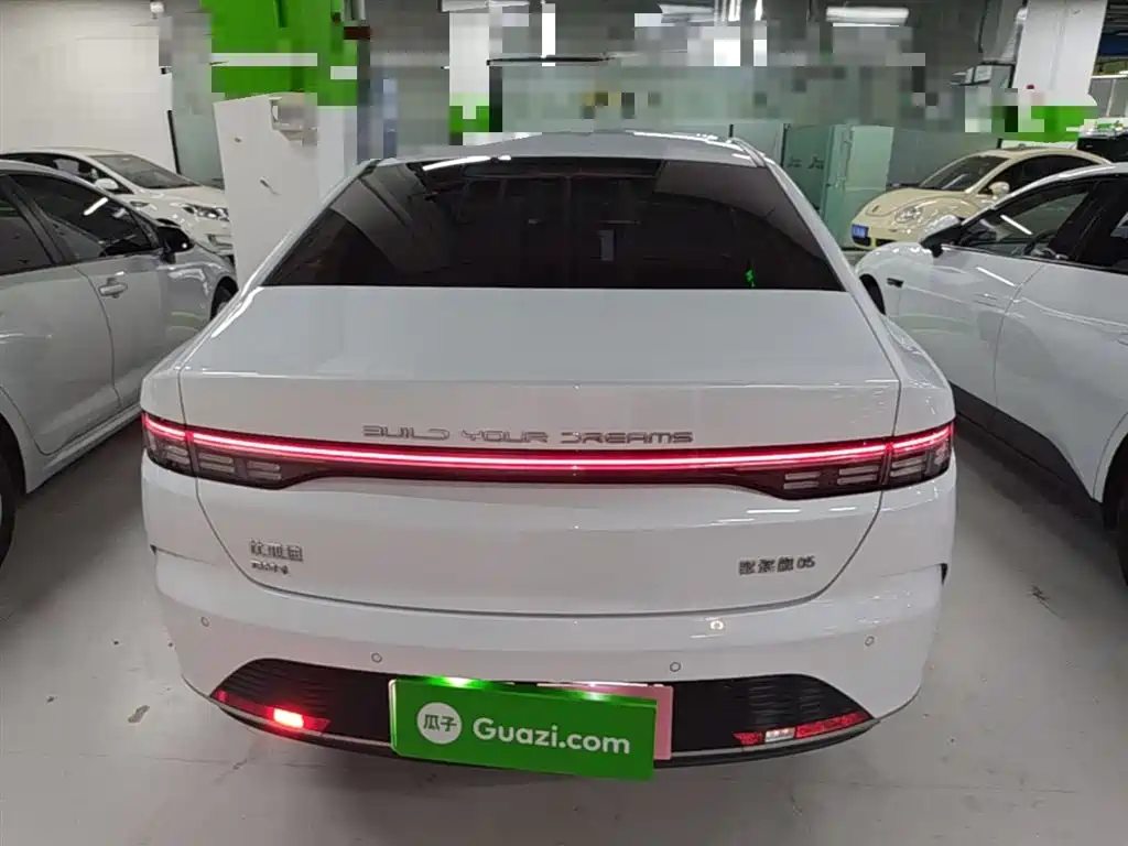 BYD Destroyer 05 2024 Glory Edition DM-i 55KM Luxury фото 6