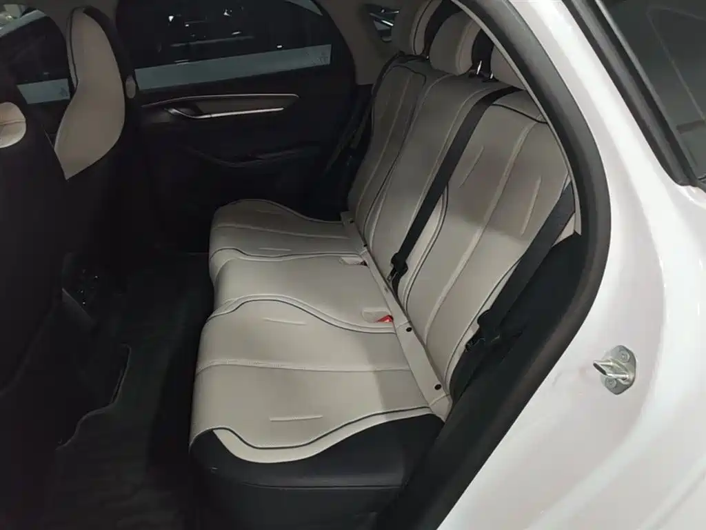 BYD Destroyer 05 2024 Glory Edition DM-i 55KM Luxury фото 17