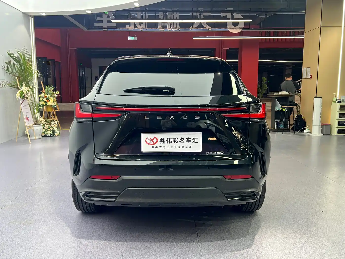LEXUS NX