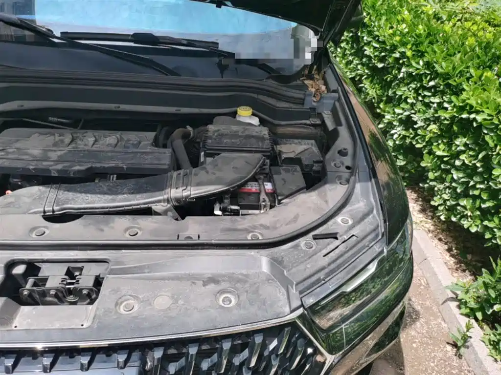 Haval H6 2023 National Trend Edition 1.5T Automatic Urban фото 22