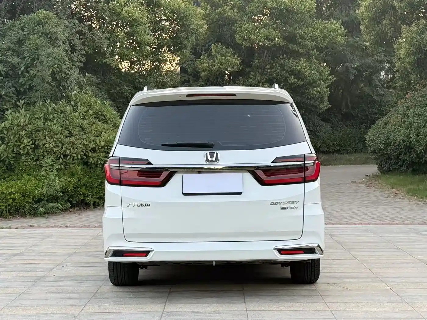 HONDA ODYSSEY