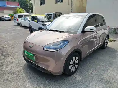 Wuling Bingo