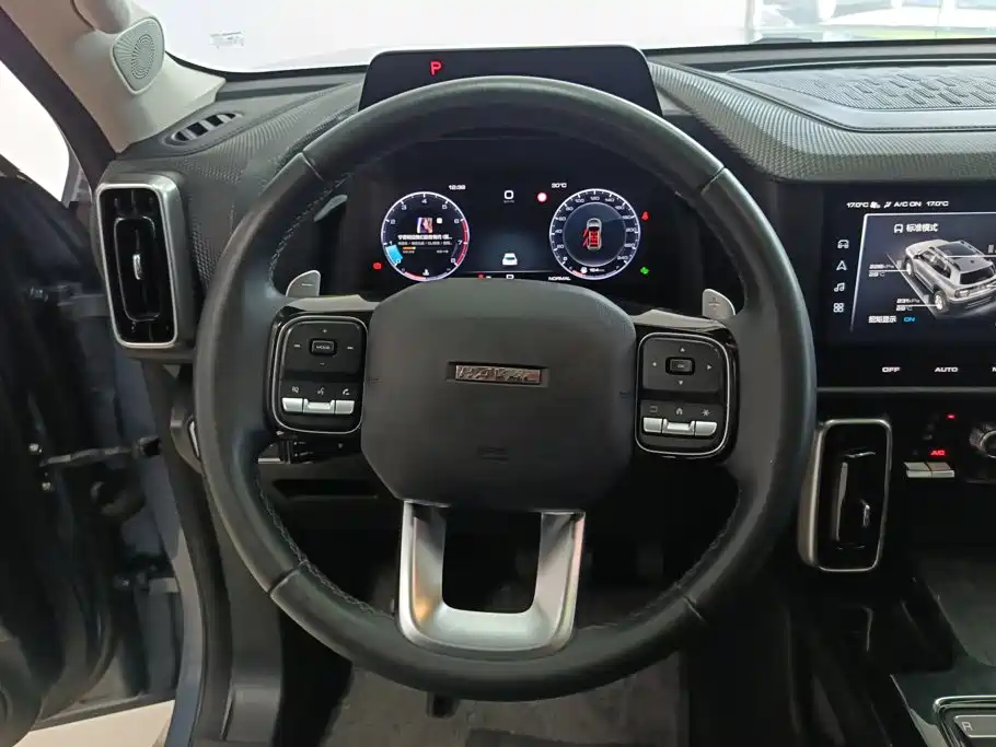 Haval Dargo 2021 2021 2.0T DCT 4WD Chinese Rural Dog Edition