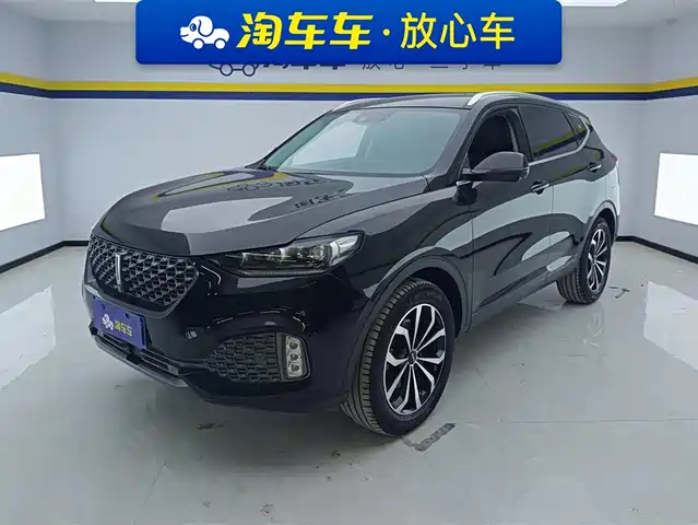 WEI PAI WEI BRAND VV6