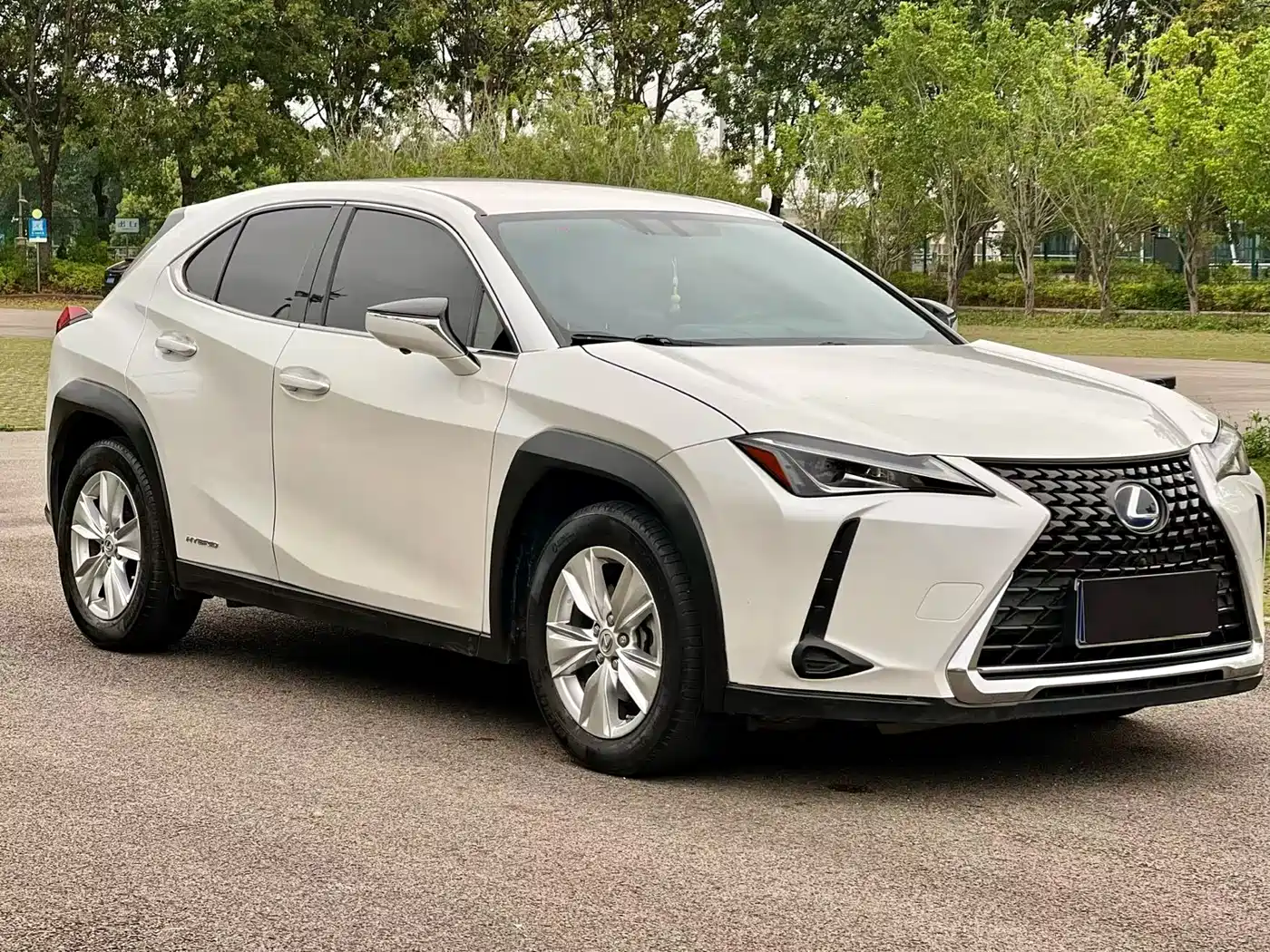 Lexus UX 2019 260h Explorer Cool Edition (China V) фото 3