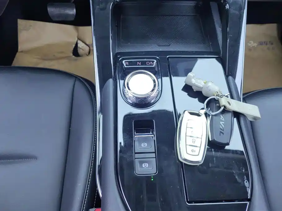 Haval H6 2022 3rd Gen 1.5T Auto 2WD Max фото 16