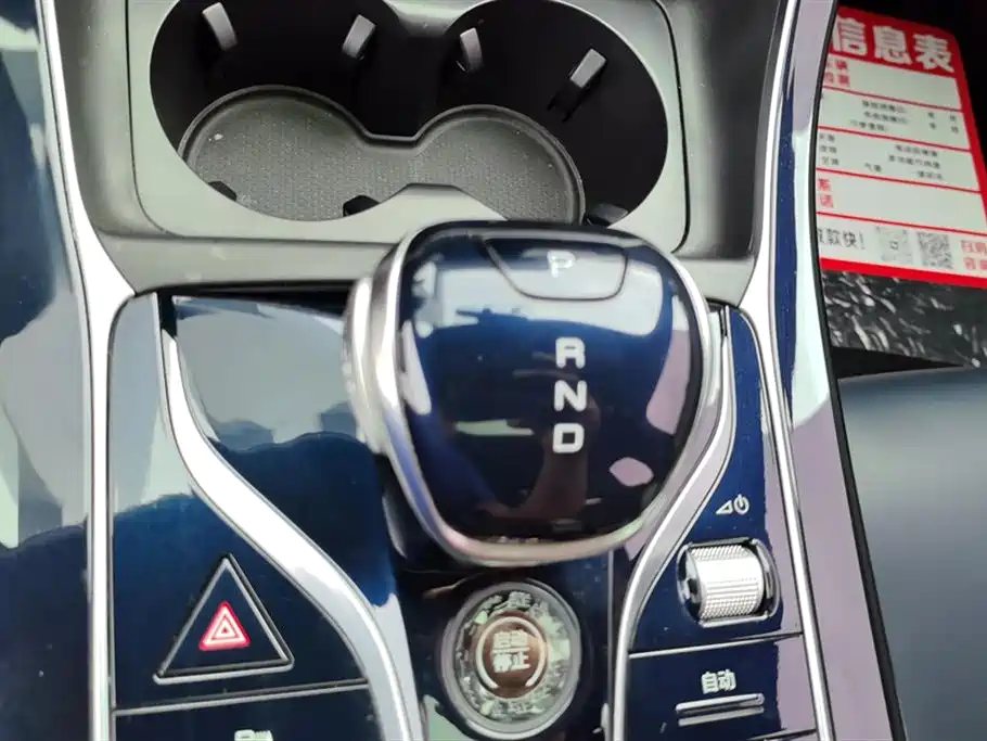 BYD Qin PLUS 2021 DM-i 55KM Flagship фото 16
